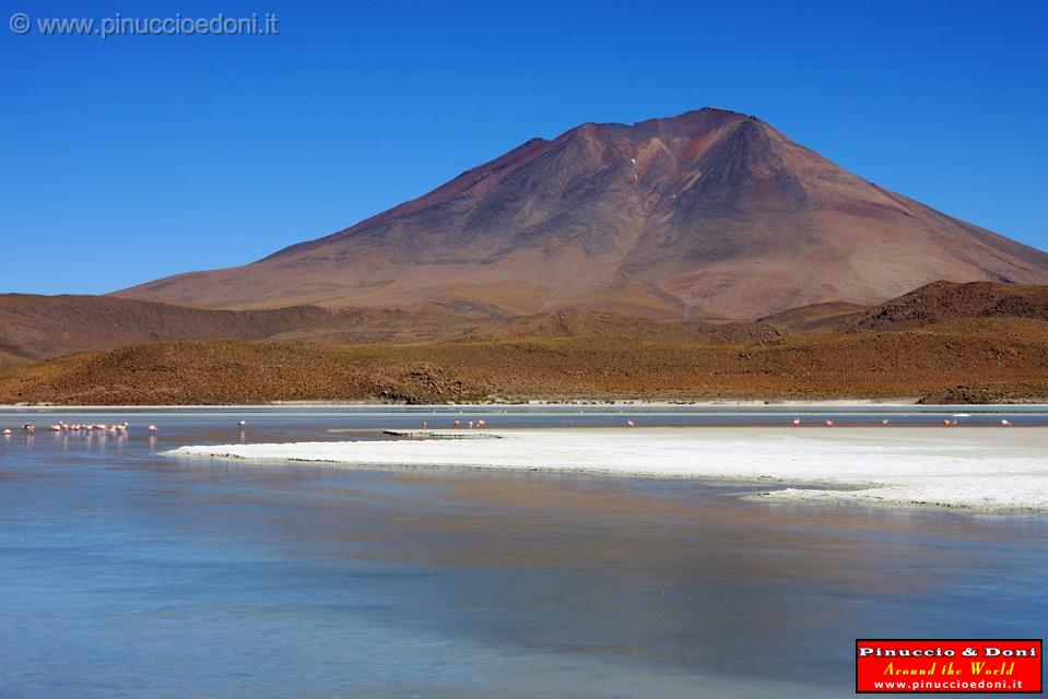 BOLIVIA 2 - Ruta de Las Joyas - Laguna Hedionda - 31.jpg